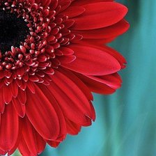 Схема вышивки «№1007172»