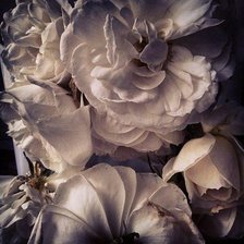 Схема вышивки «№1007225»