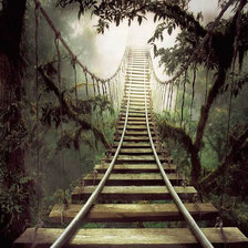 Схема вышивки «Джунгли»