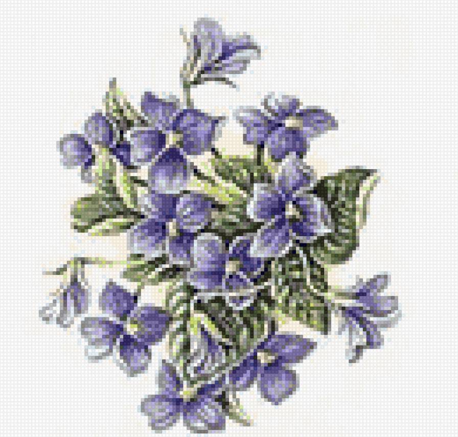 фиалки - цветы, дмс, букетик, фиалки - предпросмотр