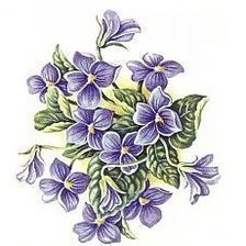Схема вышивки «фиалки»
