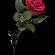 Схема вышивки «№1007733»