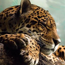 Схема вышивки «№1007825»