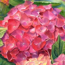 Схема вышивки «Гортензия»