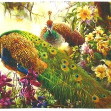 Схема вышивки «павлины»