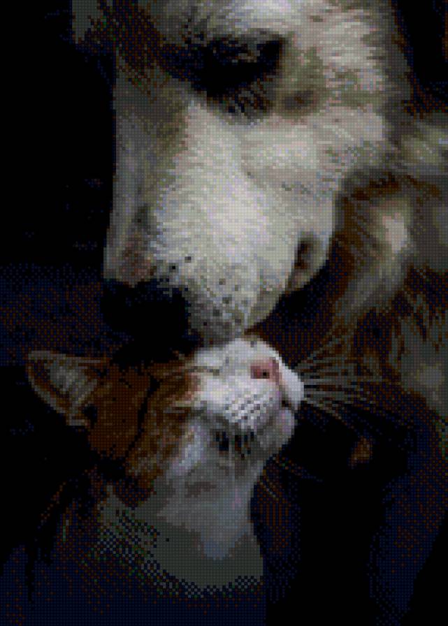 №1008916 - животные, котенок, щенок, дружба, звери, собаки, верность, кошки - предпросмотр