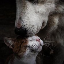 Схема вышивки «№1008916»