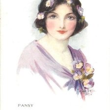 Pansy