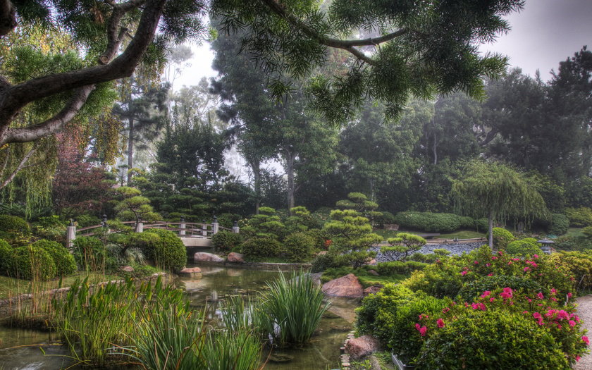 Калифорния - дизайн, сша - оригинал