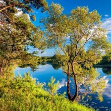 Схема вышивки «На барегу реки»