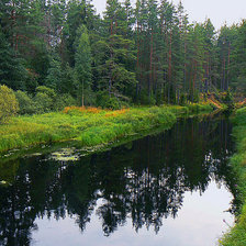 Схема вышивки «Лесная речка»