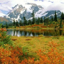 Схема вышивки «пейзаж»