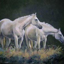 Схема вышивки «019»