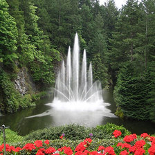 Схема вышивки «фонтан в лесу»