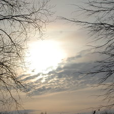 зимнее цолнце