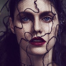 Схема вышивки «Александра Даддарио»