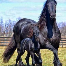 Схема вышивки «природа»