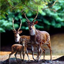 Схема вышивки «семейство»