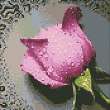Схема вышивки «Роза сиреневая»