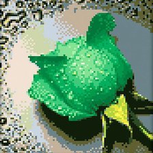 Схема вышивки «Роза зеленая»