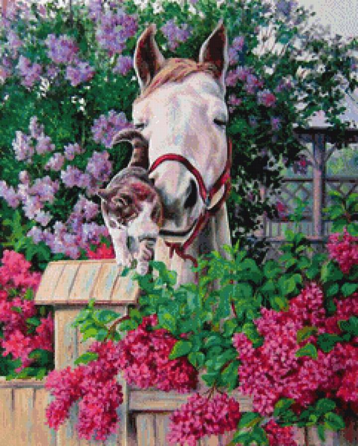 №1010711 - предпросмотр