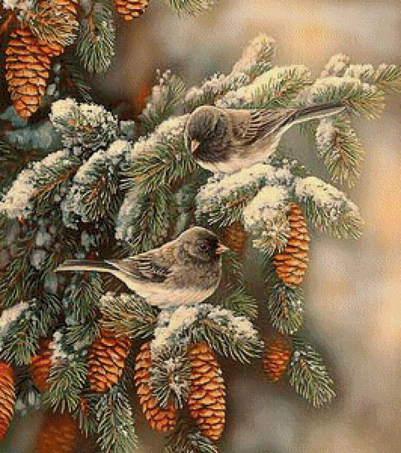Птички на ветке - ель, птички, зима - предпросмотр