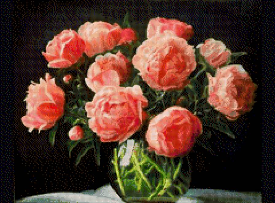 дмс сред - предпросмотр