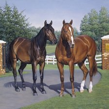 Схема вышивки «№1011206»