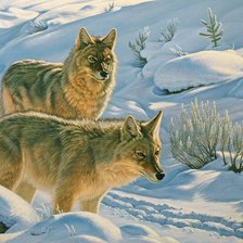 Схема вышивки «№1011208»