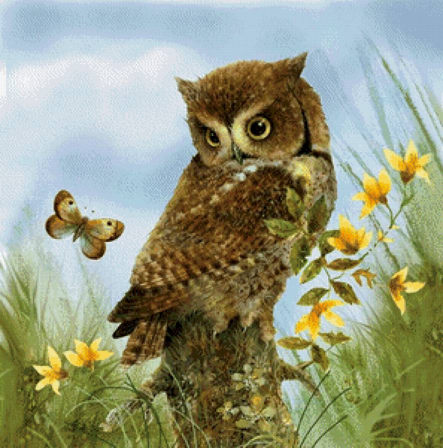 Почему я не бабочка? - филин, сова, птица - предпросмотр