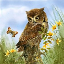 Схема вышивки «Почему я не бабочка?»