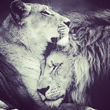 Схема вышивки «Вместе навсегда»