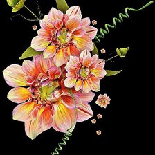 Схема вышивки «георгин»