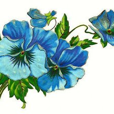 Схема вышивки «серия "цветы"»