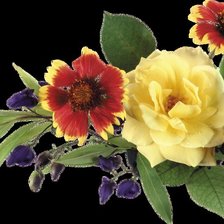 Схема вышивки «серия "цветы"»