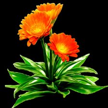 Схема вышивки «серия "цветы"»