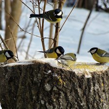 Схема вышивки «№1011755»