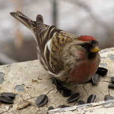 Схема вышивки «№1011760»