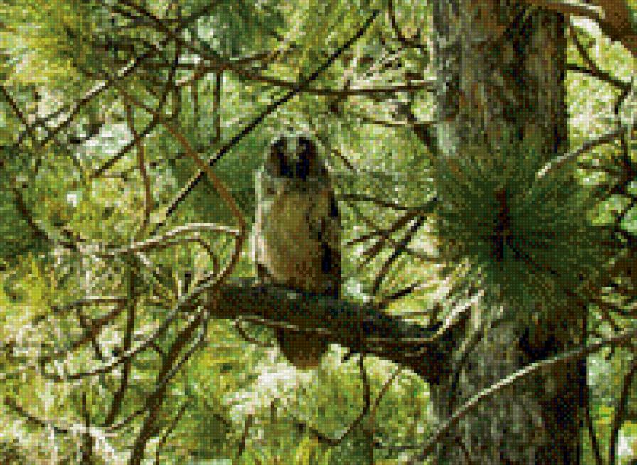 №1011788 - предпросмотр