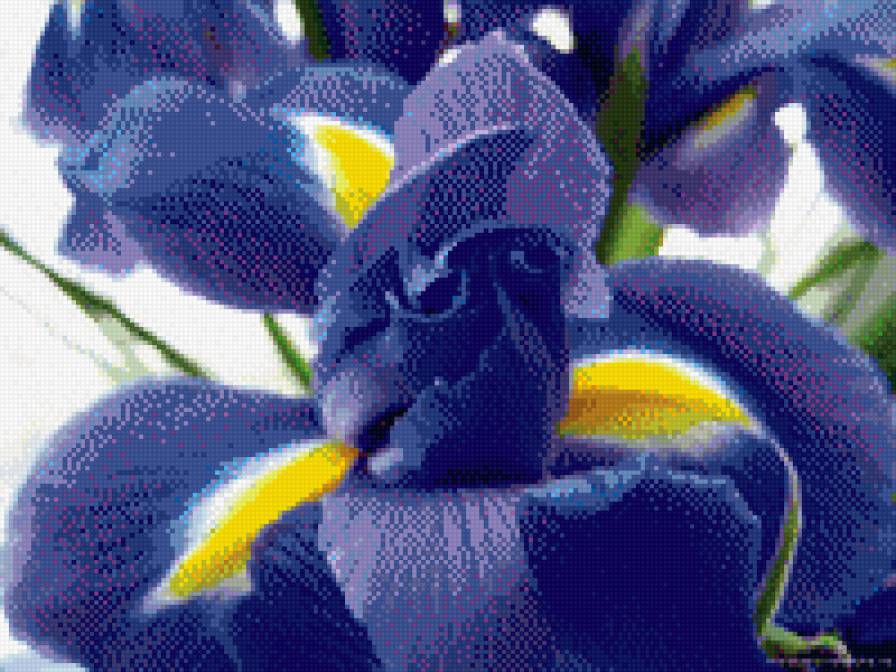 №1011789 - предпросмотр