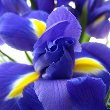 Схема вышивки «№1011789»