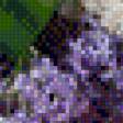 Предпросмотр схемы вышивки «сирень» (№1011868)