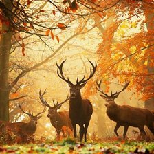 Схема вышивки «олени»