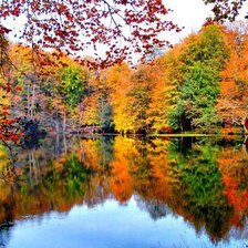 Схема вышивки «Осень»