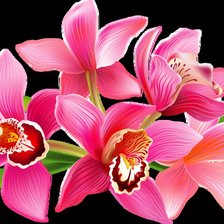 Схема вышивки «орхидеи»