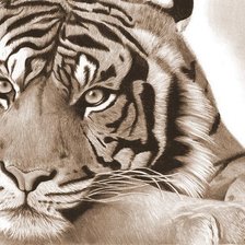 Схема вышивки «в мире животных»