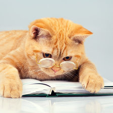 Схема вышивки «Ученый кот»