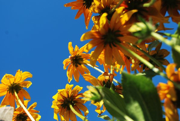 1 - оригинал