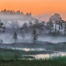 Схема вышивки «Белые  ночи  Карелии»