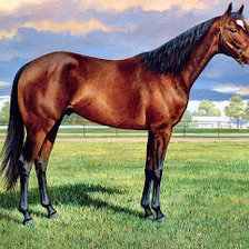 Схема вышивки «№1012663»